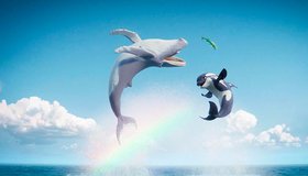 Подводная братва. На страже рифа