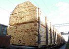 Древесина. Фото пресс-службы ГУ МВД России по Иркутской области