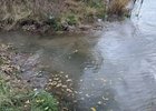 Стоки в Ангаре. Фото Байкальской межрегиональной природоохранной прокуратуры