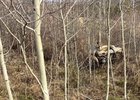 ДТП. Скриншот видео Госавтоинспекции региона