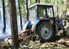 Профилактические работы в лесу. Фото пресс-службы правительства Иркутской области