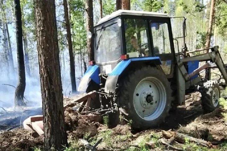 Профилактические работы в лесу. Фото пресс-службы правительства Иркутской области