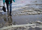Снег. Фото Валерии Алтаревой из архива IRK.ru