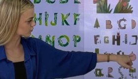 Стилизация в графике: графема как символ