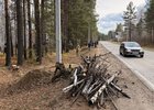 Уборка. Фото пресс-службы правительства Иркутской области