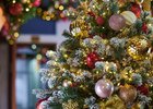 Новогодняя елка. Фото Маргариты Романовой, IRK.ru