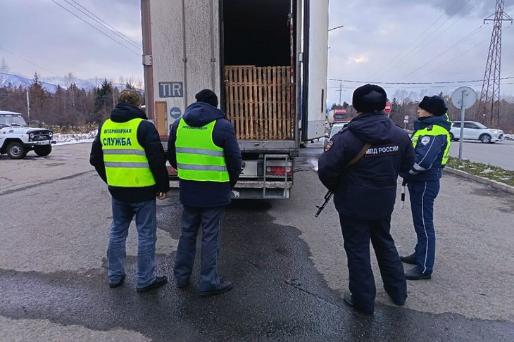 Фото управления Россельхознадзора по Иркутской области и Бурятии