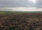 Участок. Фото управления Россельхознадзора по Иркутской области и Бурятии
