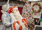 Дед Мороз и Снегурочка. Фото Маргариты Романовой, IRK.ru