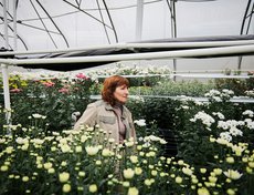 Лариса Костиш, агроном: «За один сезон вы никогда не поймёте качество цветка. За сортом надо следить два-три сезона».