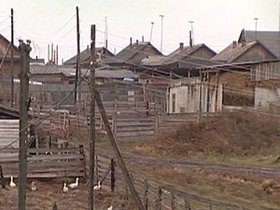 В Куйтунском районе. Фото из архива АС Байкал ТВ.