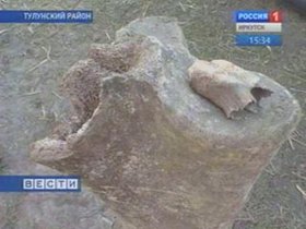 Найденная кость. Фото Вести-Иркутск.