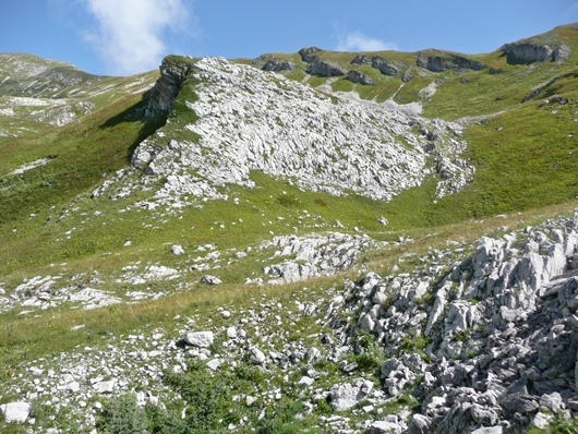 Плато Арабика (Абхазия)