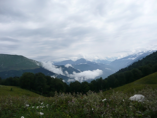 Плато Арабика (Абхазия)