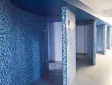 «Солнечный» состоит из двух бассейнов длиной 50 и 25 метров, а также многофункционального спортивного зала с оздоровительным центром. Общая площадь здания составляет более 15  тысяч квадратных метров.