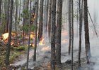 Лесной пожар. Фото с сайта ГУ МЧС по Иркутской области