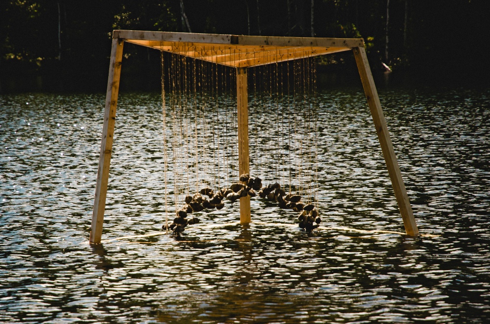 Команда Lux Aeterna, инсталляция «Ворота в сказку»