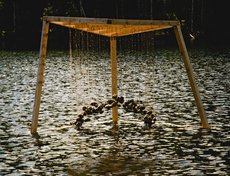 Команда Lux Aeterna, инсталляция «Ворота в сказку»