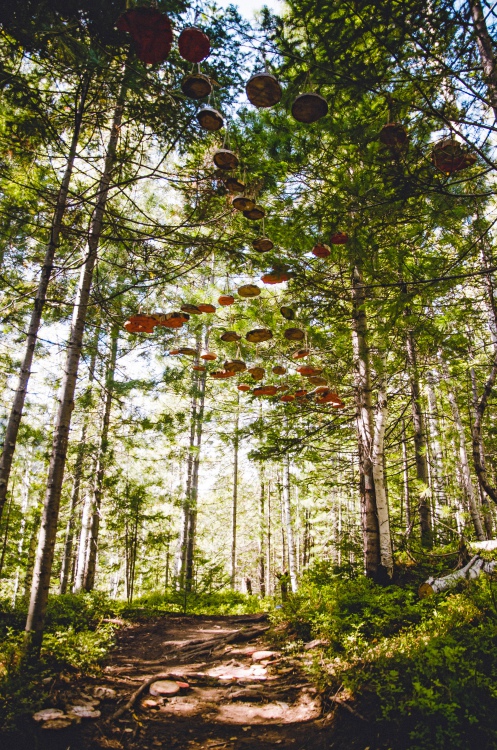 Команда PROstore, инсталляция «Воздушная тропа»