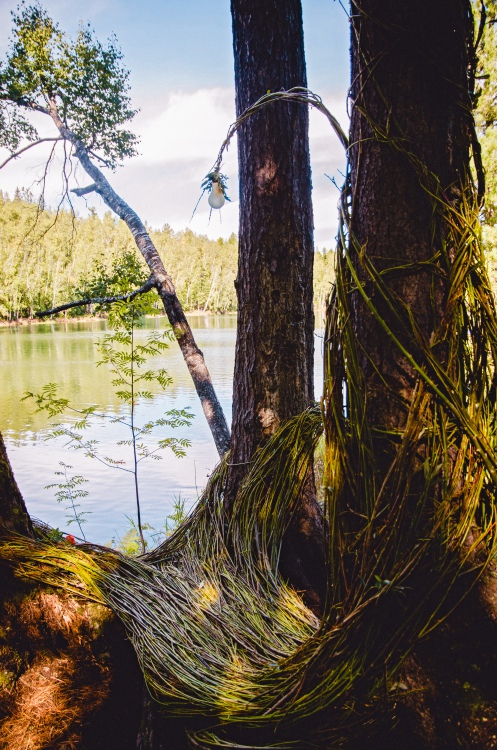 Второе место заняла команда «От vinta!» с проектом «На просторах души».