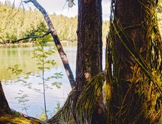 Второе место заняла команда «От vinta!» с проектом «На просторах души».