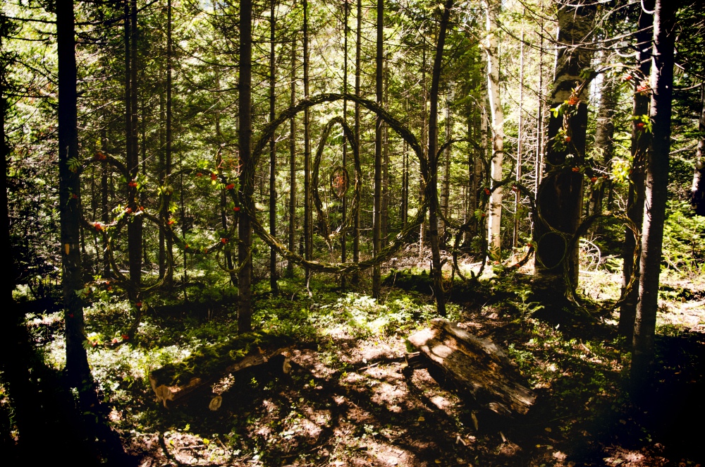 Команда «Центрифуга», инсталляция «Ловец путников»