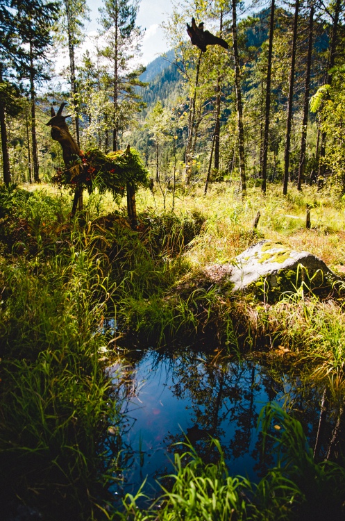 Команда Pop-Corn, инсталляция «В сказке»