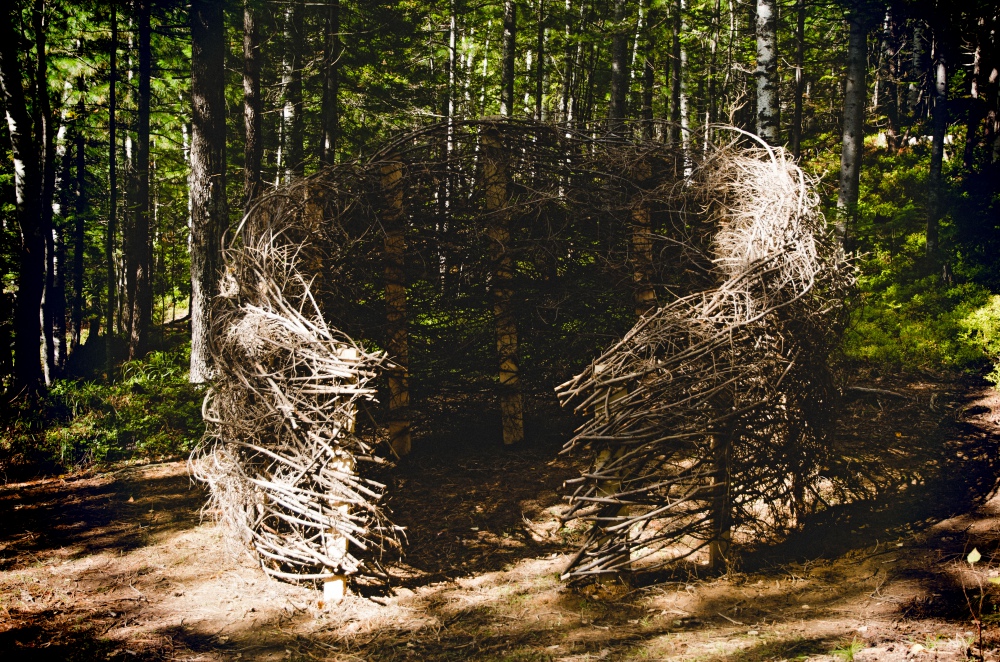 Команда Pazzles, инсталляция «Гнездо»