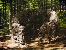 Команда Pazzles, инсталляция «Гнездо»