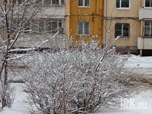Снег в Иркутске. Фото IRK.ru
