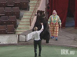 Циркач с медведем. Фото из архива «АС Байкал ТВ»
