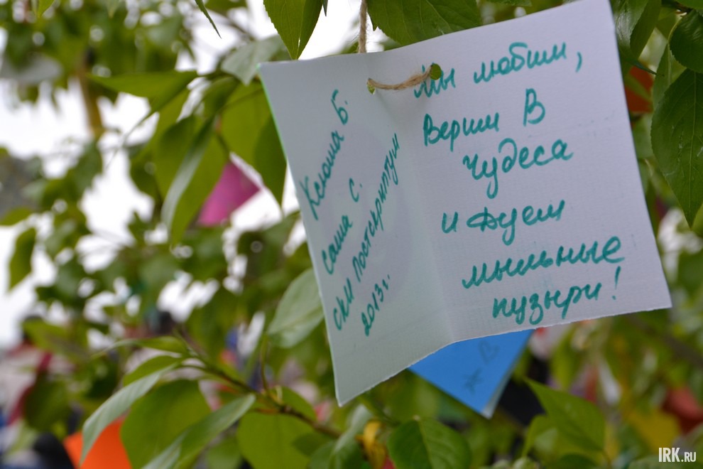 Каждый мог написать и оставить висеть на дереве поздравительную открытку