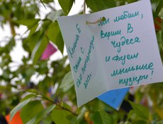 Каждый мог написать и оставить висеть на дереве поздравительную открытку