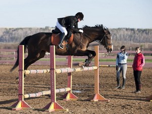 Продолжаются мастер-классы по конному спорту для молодёжи