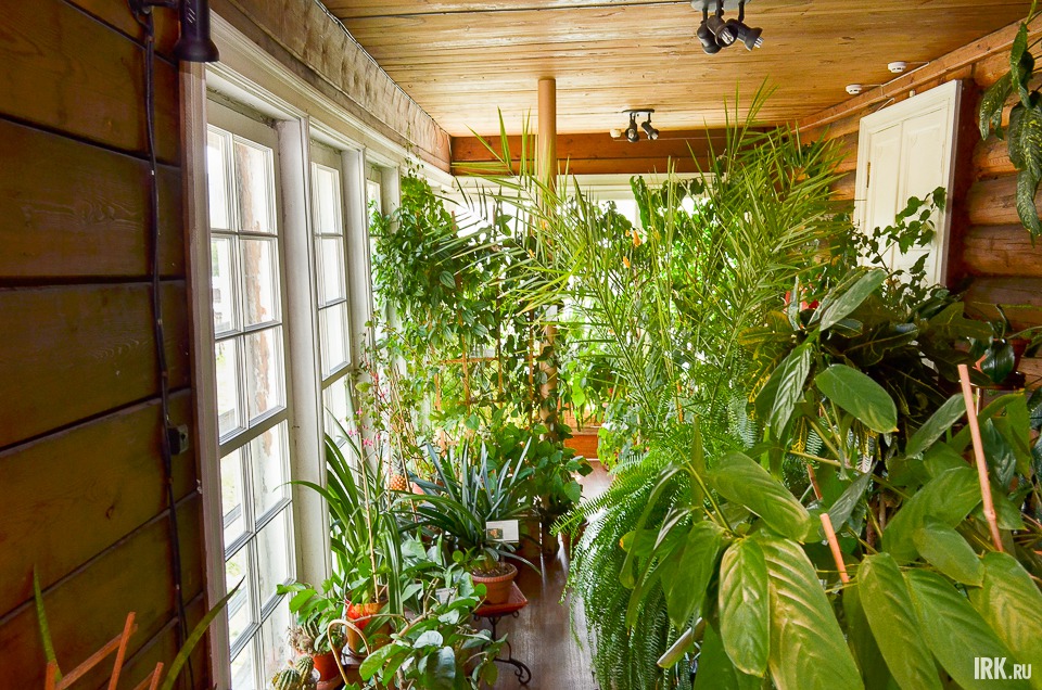 Зимний сад на втором этаже усадьбы устроен по распоряжению Марии Волконской.