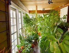 Зимний сад на втором этаже усадьбы устроен по распоряжению Марии Волконской.