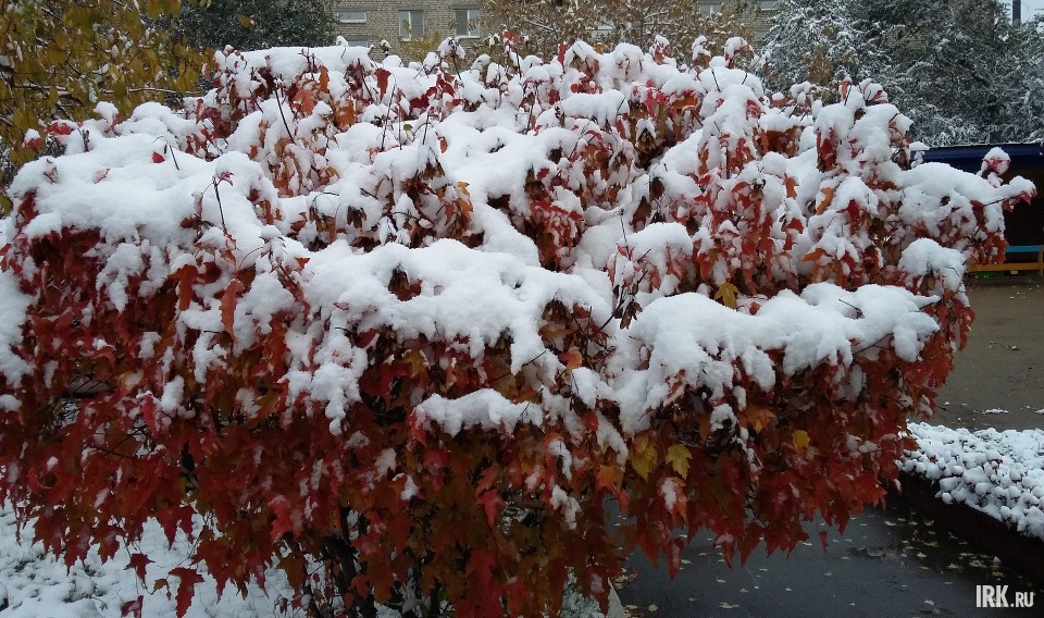 Фото прислала Светлана Фомина