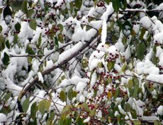 Фото прислала Анна Назарова