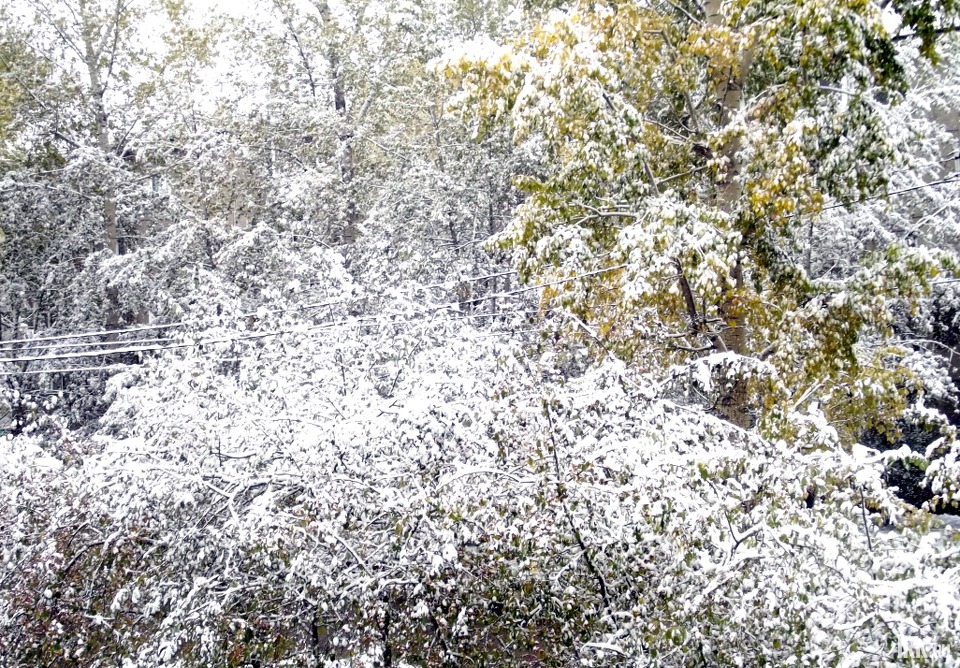 Фото прислала Анна Назарова