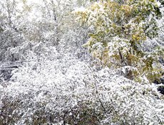 Фото прислала Анна Назарова