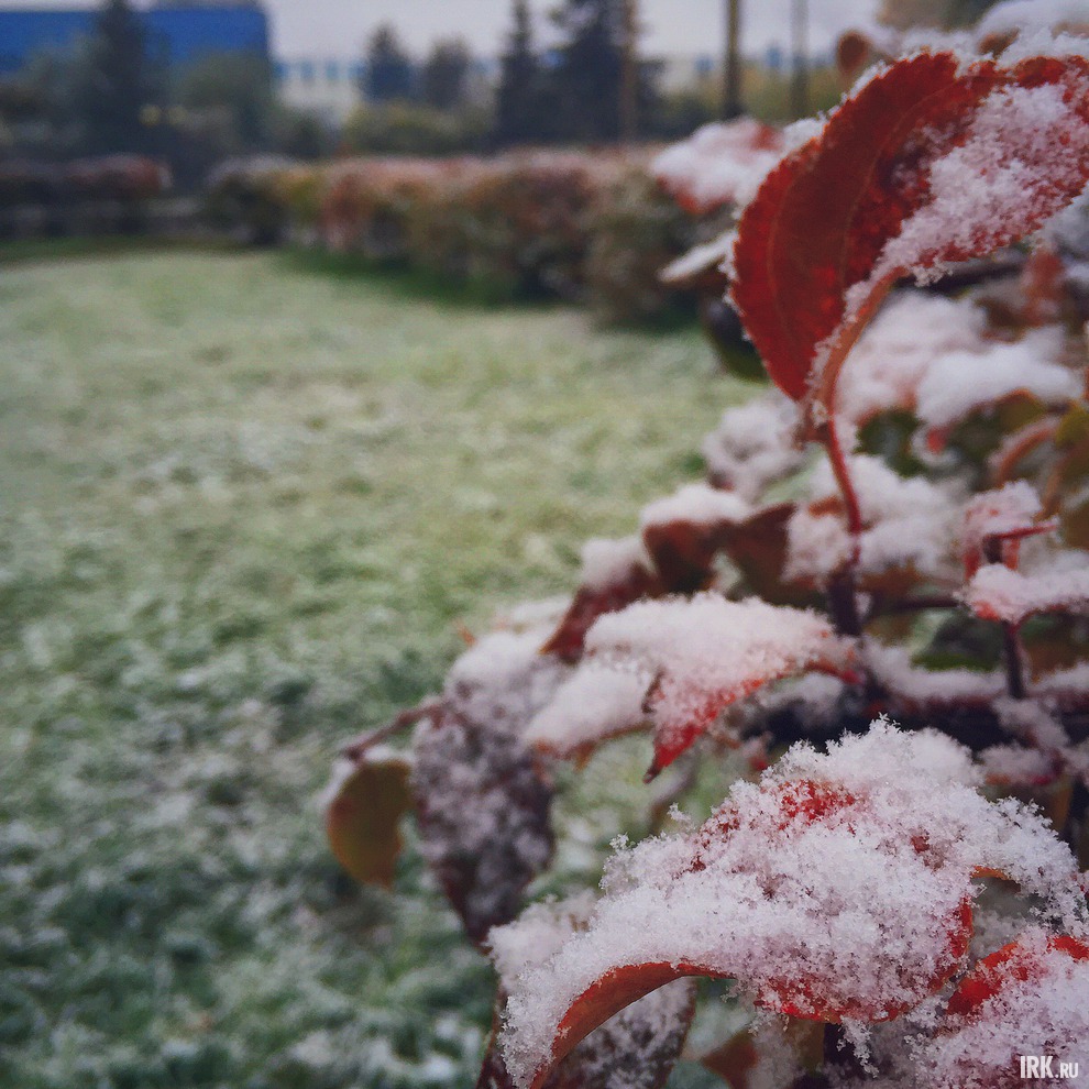 Фото прислал Олеся Чечугина