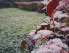 Фото прислал Олеся Чечугина