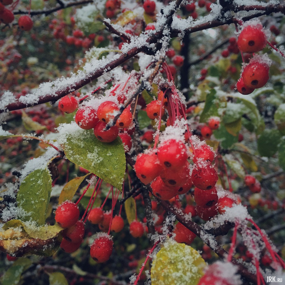Фото прислал Олеся Чечугина