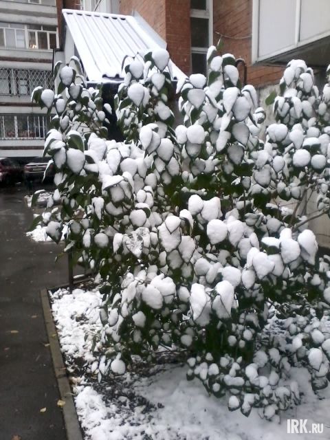 Фото прислала Анастасия Марченко
