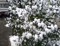 Фото прислала Анастасия Марченко