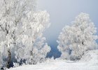 Зима на Байкале. Фото с сайта www.nature.baikal.ru