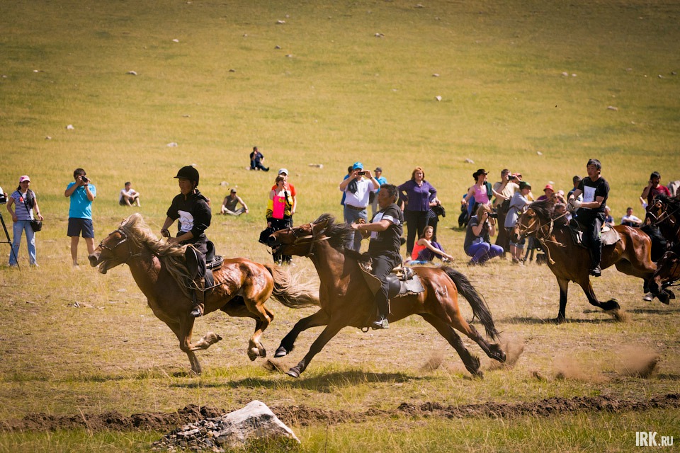 Скачки на лошадях по пересеченной местности