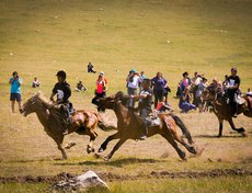 Скачки на лошадях по пересеченной местности