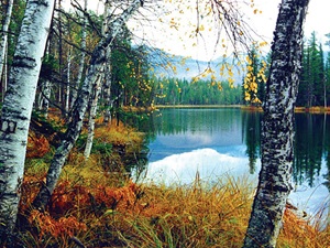 Лебединые озера. Фото с сайта www.hpxlat.narod.ru