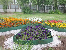 Фото Клумбы С Цветами Возле Школы
